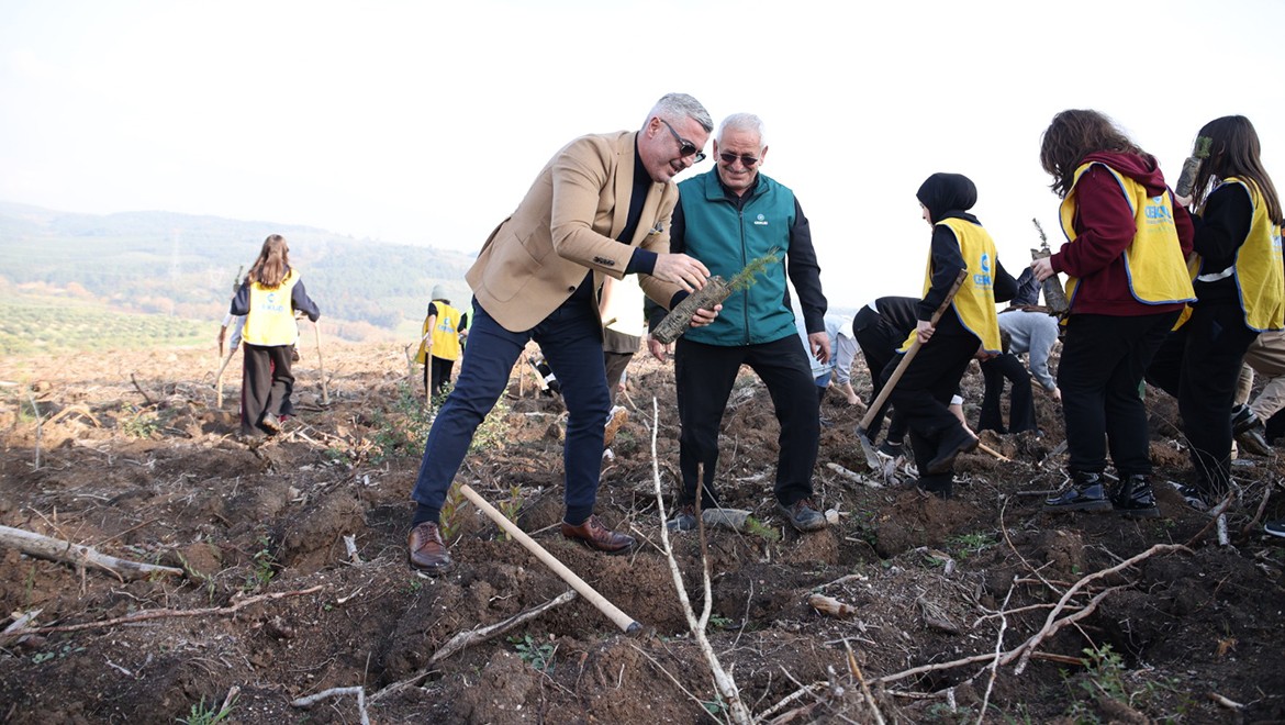 10.000 adet fidan toprakla buluştu