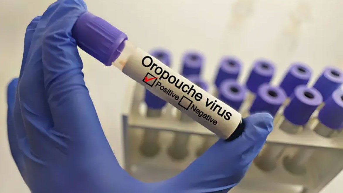 Oropouche virüsü nedir ve nasıl tedavi edilir?