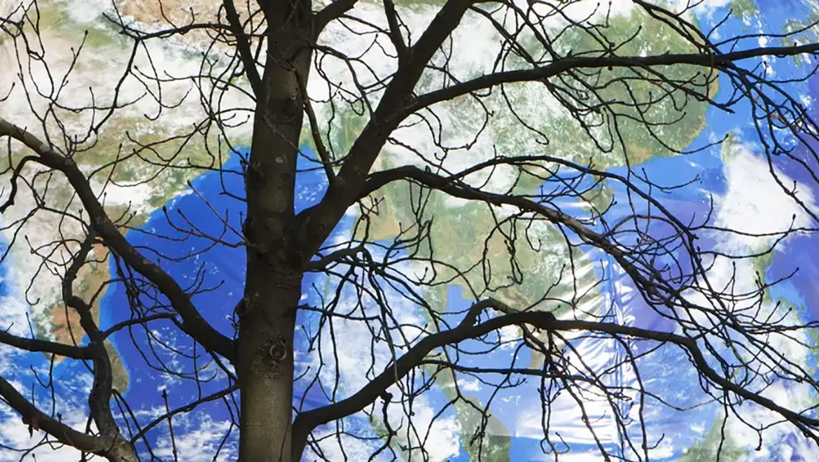 Dünyanın ekolojik kaynakları haftaya tükeniyor