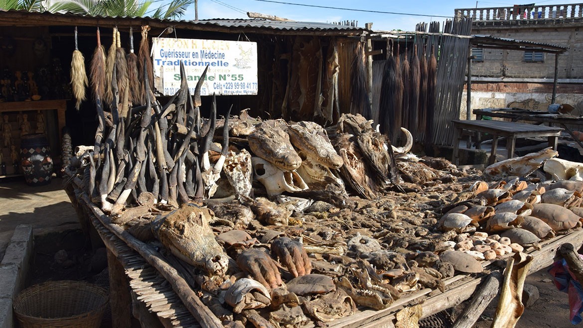 Vudu pazarında meyve sebze değil, büyü satılıyor