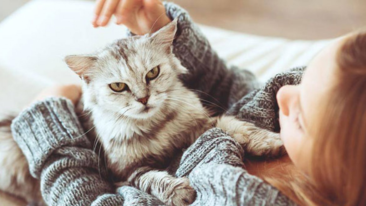 İlk Defa Kedi Besleyeceklere Tavsiyeler