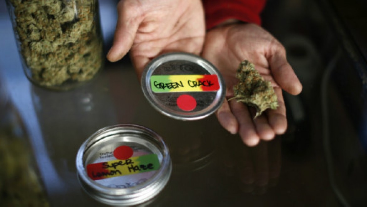 'Sık marihuana kullanımı beyni olumsuz etkiliyor'